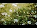 旅の途中 / ZABADAK (cover)