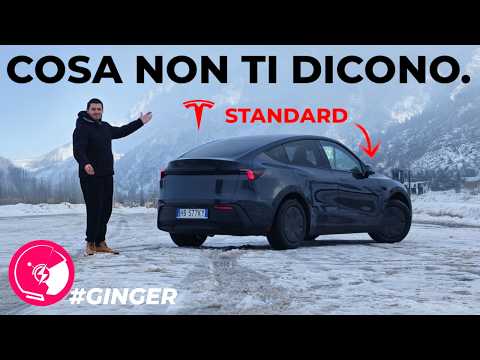 Video Tesla Model Y Standard: Cosa NON Ti Dicono | Recensione Completa, Ricarica e Consumi