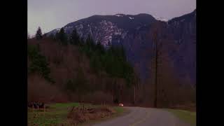 Twin Peaks   The fate of Harold Smith Profile