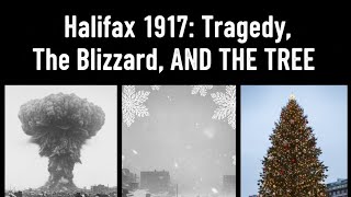 Halifax 1917: The Tragedy, The Blizzard and  The Tree #youtubeshorts #hiddenhistory #boston 