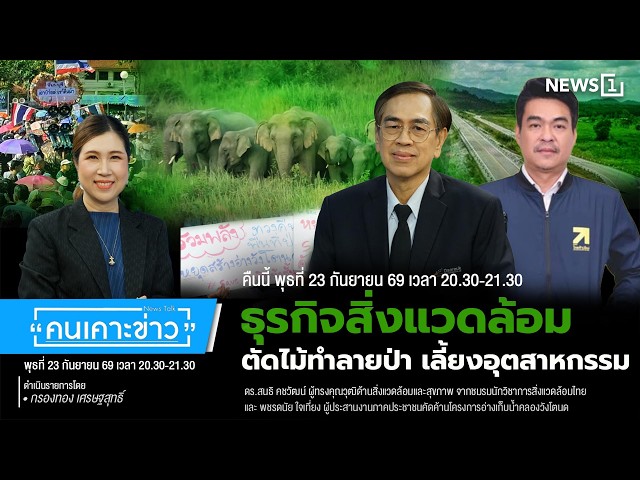 Highlight | ธุรกิจสิ่งแวดล้อม ตัดไม้ทำลายป่า เลี้ยงอุตสาหกรรม : คนเคาะข่าว 23-09-69