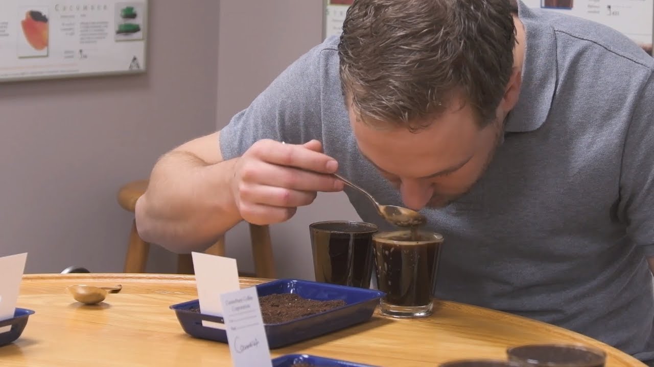 How To Become A Professional Coffee Taster