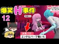 【ゆっくり解説】爆笑叡智事件(非えいち含む) #12