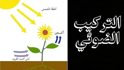 نص علمي حول الاليات المتدخلة في انتاج المادة العضوية Mp3