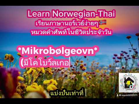 #เรียนภาษานอร์เวย์ ง่ายๆ🇳🇴เรียนภาษานอร์เวย์ออนไลน์#เรียนภาษานอร์เวย์ด้วยตัวเอง