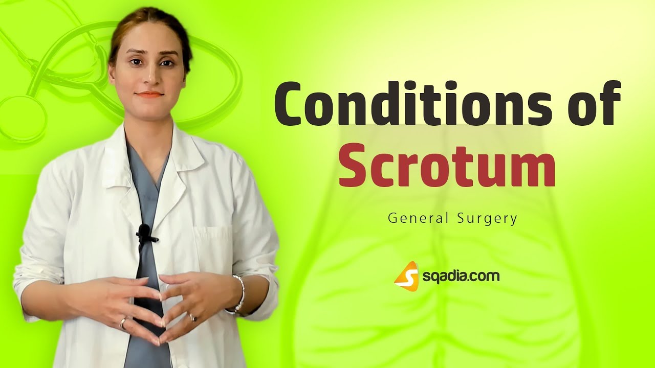 Conditions Of Scrotum General Surgery Video Lecture Medical Student conditions-of-scrotum-general-surgery-video-lecture-medical-student