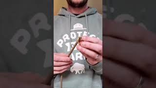 BioThane Rope Slip Leash: How It's Made