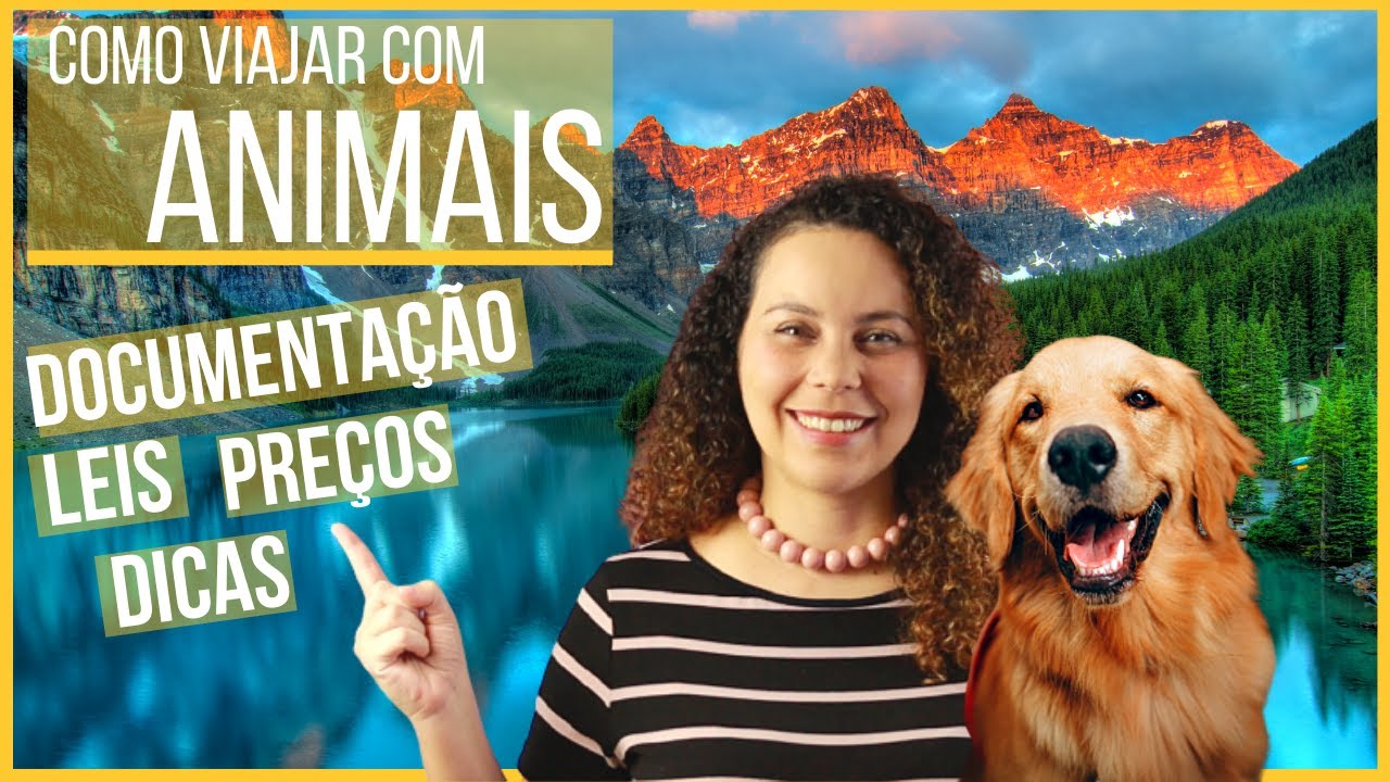 COMO VIAJAR COM ANIMAIS? | Tudo o que você precisa saber para levar seu PET na viagem COMO VIAJAR COM ANIMAIS? | Tudo o que você precisa saber para levar seu PET na viagem