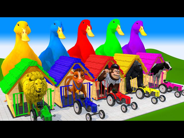 5 Giant Ducks Gorilla Cows Tigers Lions Elephant Fountain Crossing Animal Transforms Paint Animals class=