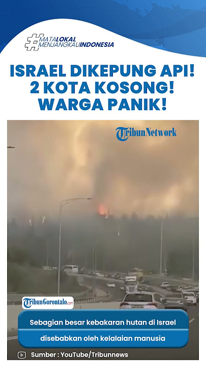 🔥 Israel Kebakaran Hebat hingga Diterjang Angin Kencang, Ribuan Warga Mengungsi!