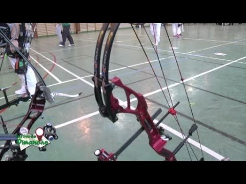 Arc Recourbé 61'' HOYT BUFFALO - Chasse/Tir à L’Arc - 30-60lbs, Branches ILF 17''