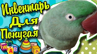 Все О ВЕЩАХ ДЛЯ ПОПУГАЯ! ЧТО НУЖНО ПОПУГАЮ, КОРОБКИ, КОРМА, ЖЕРДИ, ПОИЛКИ Все О ВЕЩАХ ДЛЯ ПОПУГАЯ! ЧТО НУЖНО ПОПУГАЮ, КОРОБКИ, КОРМА, ЖЕРДИ, ПОИЛКИ