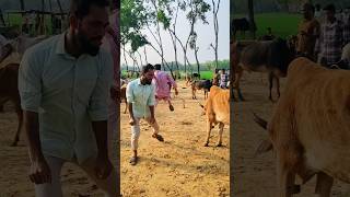 🤣🙆🏻‍♀️😁 He beat his ass like this. #super #funny #youtube #short #trending #video #for #everyone