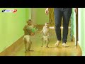 Amazing Baby Monkey LUNA With Smart KAKO Walking Carry Fruits