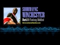 Shurwayne Winchester Work It Fantasy Riddim mp3