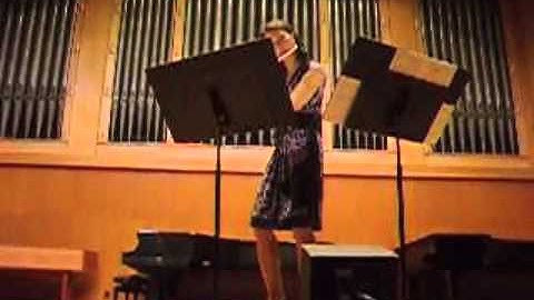 Fractus III: Aerophoneme for Flute and SuperCollider (2011)