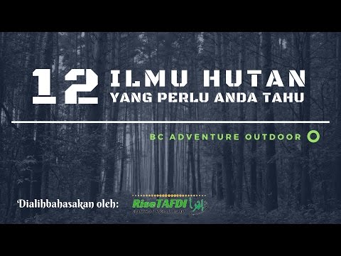 Video: Di Mana Menemukan Panduan Untuk Hiking Di Pegunungan Atau Di Hutan