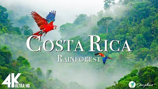 Коста -Рика 4K - Животные, которые называют джунгли Коста -Рики домой | Живописный фильм
