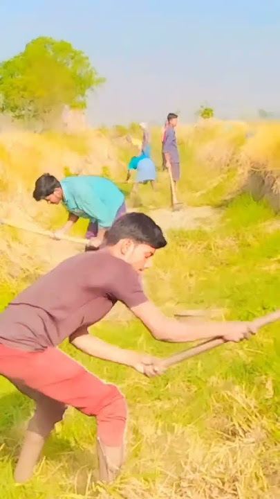 sara😭 sara din tum Kam karoge😭#reels 😭#status #viral #shortvideo #trending #video #youtubeshorts