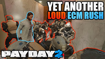 Definitely not a bug: the 2nd ever LOUD ECM Rush! Black Cat edition