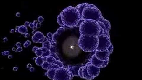 Thinking Particles Practice