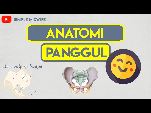 Anatomi Panggul dan Bidang Hodge