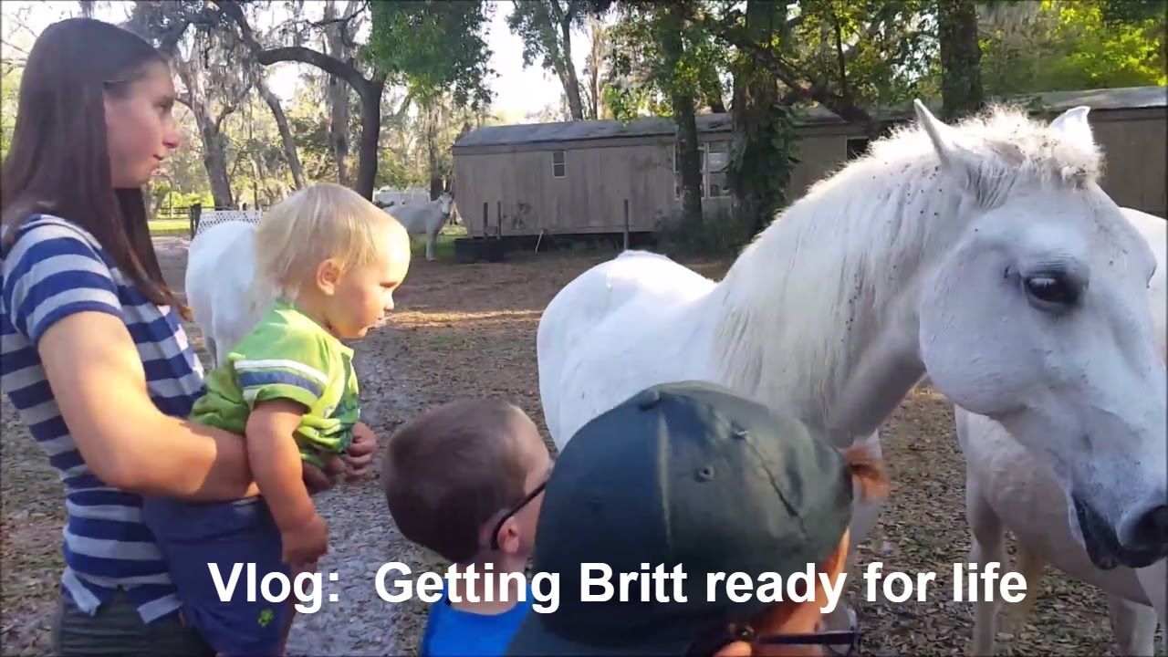 Roadschool Life | Getting Britt ready for life...