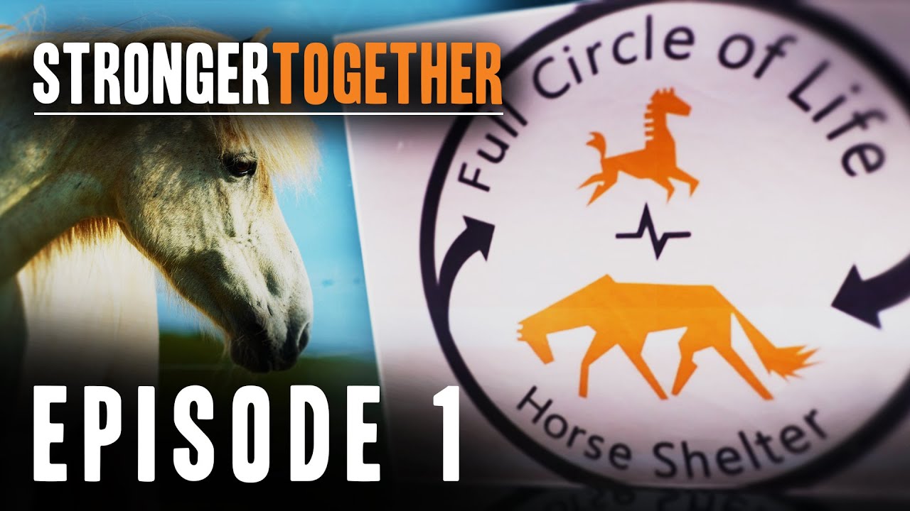 Stronger Together - Horse Rescue Heroes S4E1