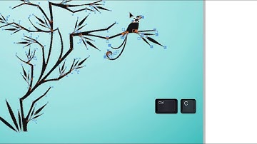 CorelDRAW Graphics Suite X8   Working with curves