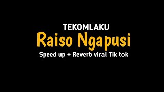 Raiso Ngapusi - speed up + reverb viral Tik tok