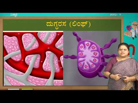 Samveda - 9th - Science - Tissues (Part 4 of 4) - Day 18