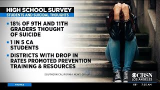 UCLA Professor Discusses Youth Suicide