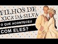 O QUE ACONTECEU COM OS FILHOS DE XICA DA SILVA?