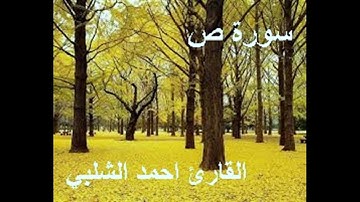 سورة ص للقارئ احمد الشلبي