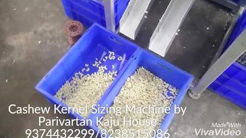 Cashew Kernel Sizing Machine by Parivartan Cashew Machinery +919512497976 / +919512397976
