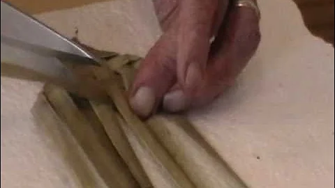 Nancy Today: Plaiting a cattail bookmark (Cattail workshop 26) ASMR weaving (basket making tutorial)