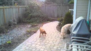 Droid x video sample @ 720p