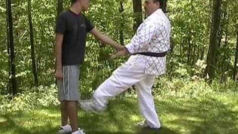 Hapkido Armbar Variations