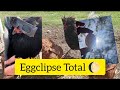 Así reaccionaron mis GALLINAS al ECLIPSE total de sol 😱 se alocaron y empezaron a cacarear 🌔