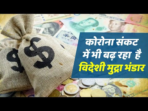 India's forex reserves up by $1.62 million | कोरोना संकट में भी बढ़ रहा विदेशी मुद्रा भंडार