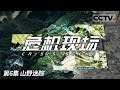 《危机现场》 凤凰岭的守望者：蓝天救援队与山林搜救行动 EP06【CCTV纪录】