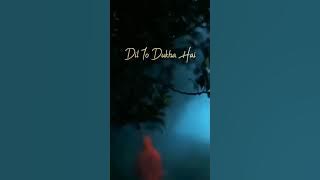 Sach Hai Ki Dil To Dukha Hai WhatsApp status