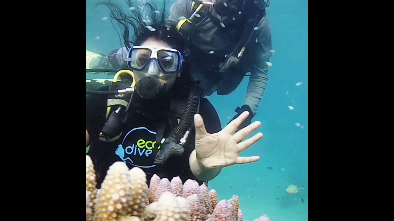 Scuba Diving| Havelock Island| Andaman