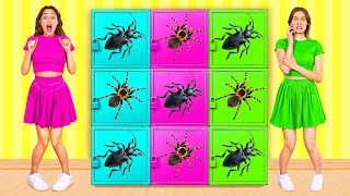 Desafío de Caja Misteriosa de Colores | Desafío Loco por KaZaZa Challenge