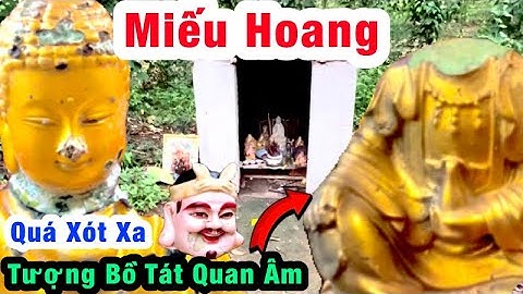 Miếu Hoang Ven Đường, Dới Cây Cổ Thụ, Phật Thích Ca,Phật A Di Đà, Tâm Linh