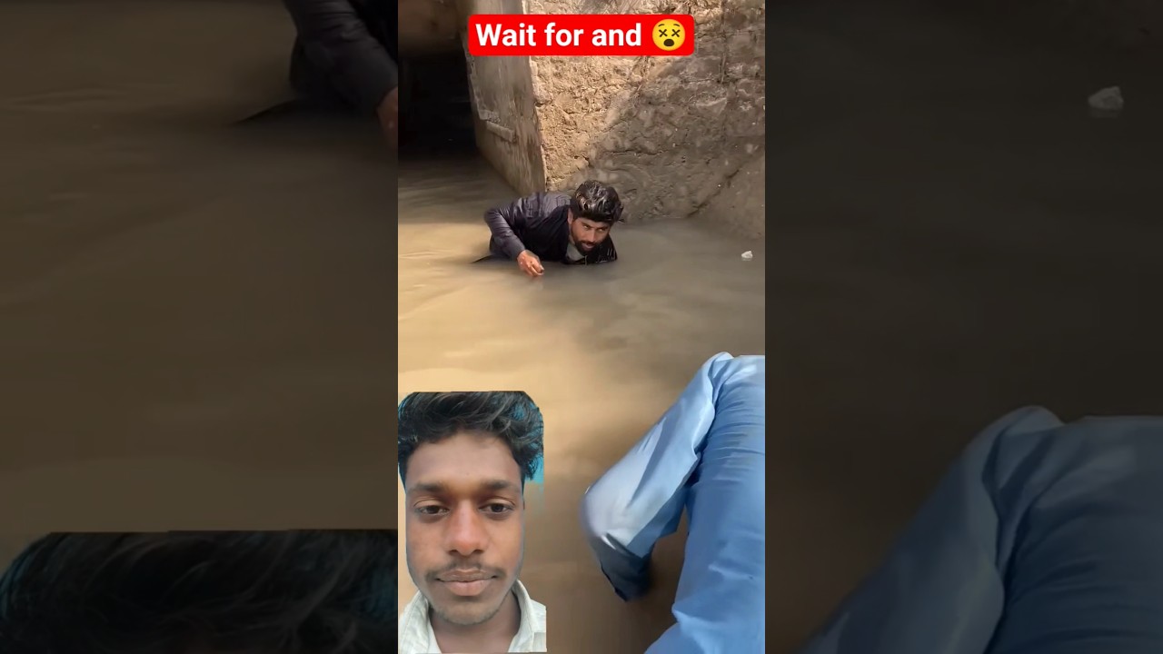 Top Learning Tools 🥰 for Tech Enthusiasts 