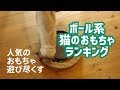 【猫の飼い主必見】ボール系猫のおもちゃランキング！【音声有】ボール系は選ぶのが難しい