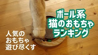 【猫の飼い主必見】ボール系猫のおもちゃランキング！【音声有】ボール系は選ぶのが難しい