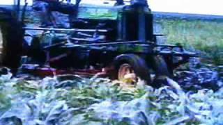 Cultivating beans and cross cultivating corn with A John Deere