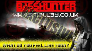 Basshunter - What Do You Feel Like Today